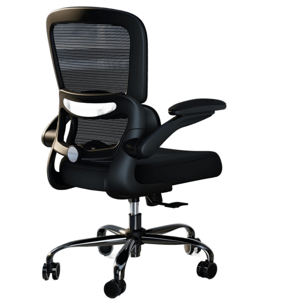 ergonomic desk chair-support lumbar