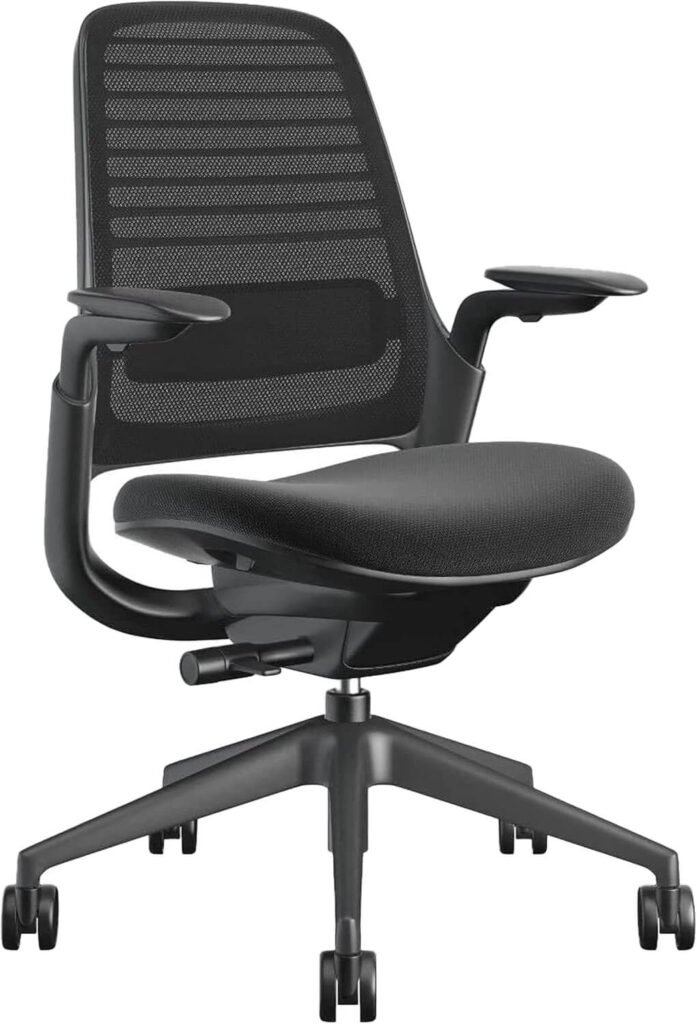 ergonomic-office chair-lumbar support